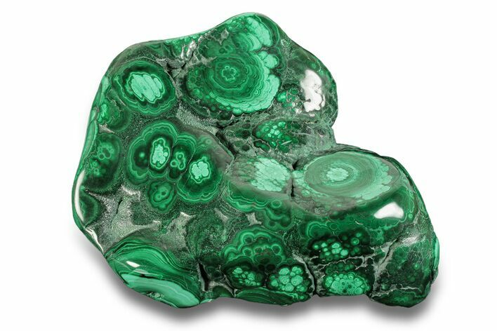 Flowery Polished Malachite Specimen - Congo #255241